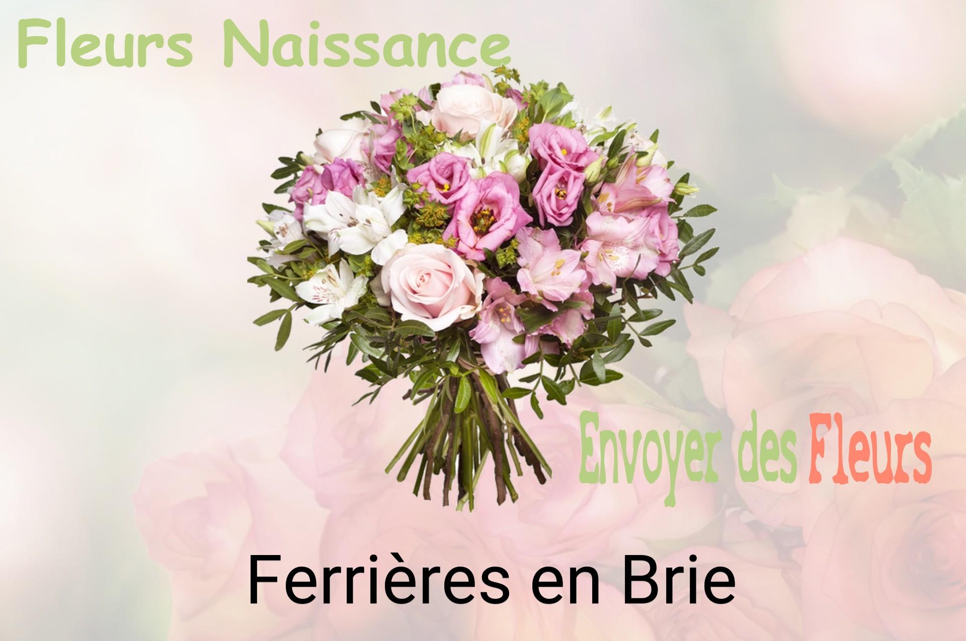 Bouquet de fleurs de naissance livré à Ferrières-en-Brie